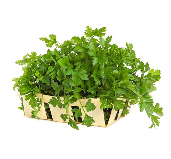 Parsley